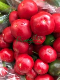 Capsicum annuum "Cherry"