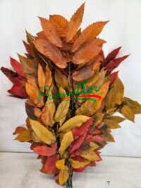 Castanea Preserved Autumn